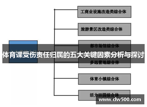体育课受伤责任归属的五大关键因素分析与探讨