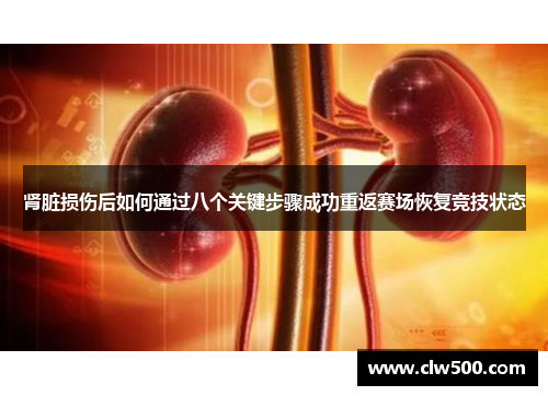 肾脏损伤后如何通过八个关键步骤成功重返赛场恢复竞技状态