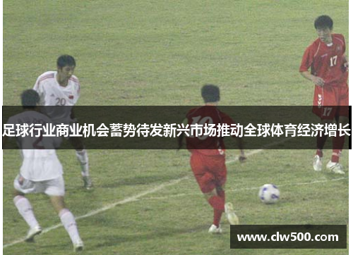 足球行业商业机会蓄势待发新兴市场推动全球体育经济增长 足球行业商业机会蓄势待发新兴市场推动全球体育经济增长