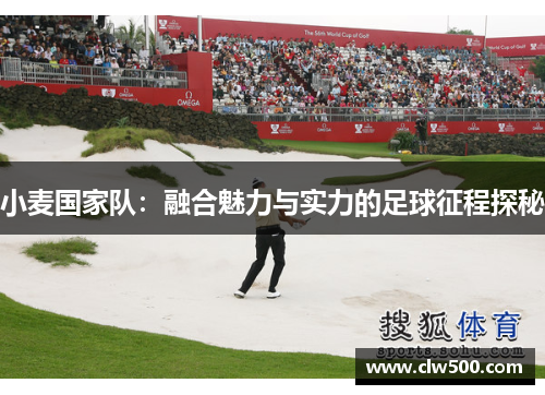 小麦国家队：融合魅力与实力的足球征程探秘